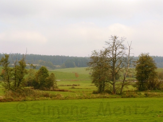 Images/Bayern - PAF_ (1).jpg